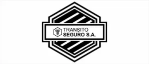 Transito Seguro