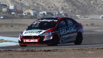 C3 Domenech pole