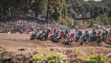 MX 1