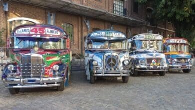 Corriéndose al fondo: exposición de colectivos en Morón 16 Expotransporte 1