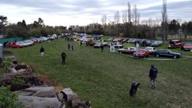 Expo Auto Argentino: ya tiene fecha la muestra de clásicos 9 EEA 2