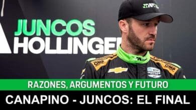 P1 canapa