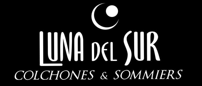 BANNER CHICO LUNA DEL SUR