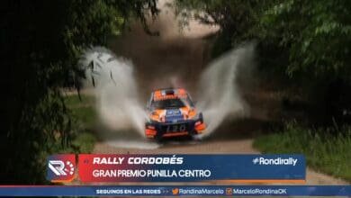 Rondirally 172