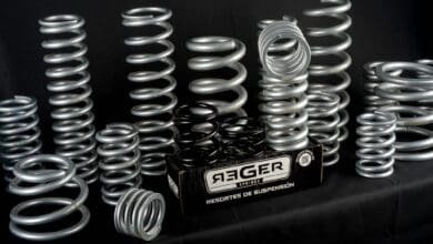 Reger 1