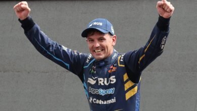 LP1L8162 e1765281830787