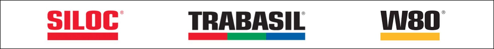 Castellano: 3ero en el arranque del año 2 LOGO SILOC LARGO copia scaled