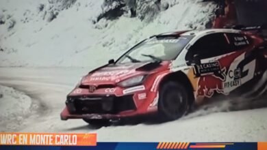 WhatsApp Image 2026 01 29 at 9.45.52 AM