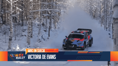 Rondirally: Todo el Motorfest! 3 Rondirally 231