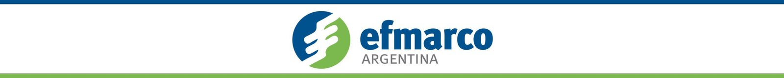 Fórmula 4 NG: Primer triunfo para Tiziano Garay y revancha ganadora para Nicolás Villalba 4 Efmarco