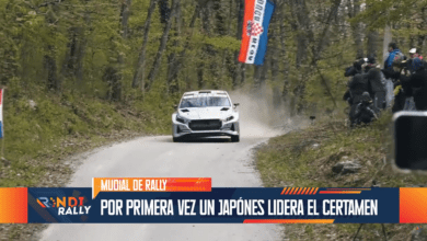 Rondirally edición 239