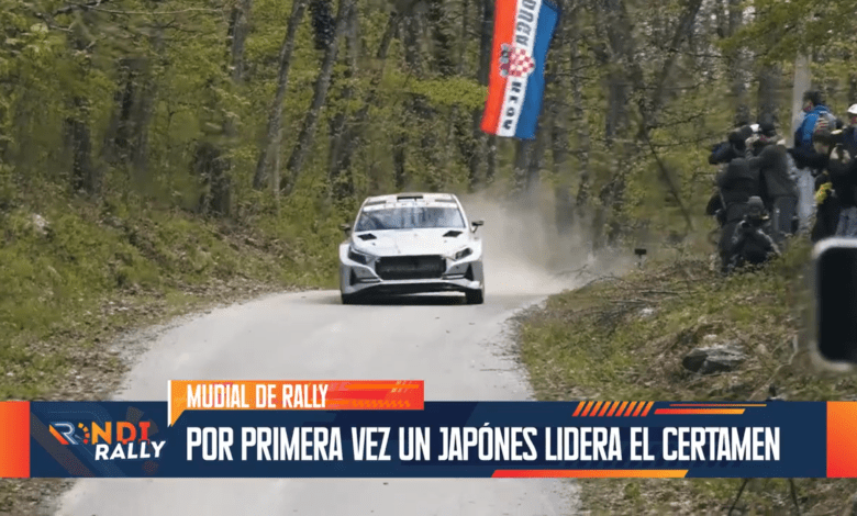 Rondirally edición 239